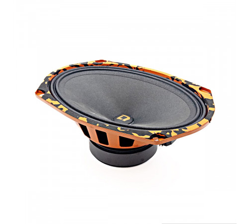 Акустика DL AUDIO Barracuda 6x9 70W
